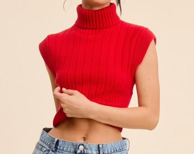 Hailey High Neck Sweater