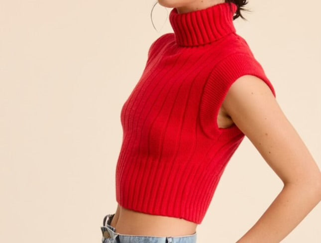 Hailey High Neck Sweater